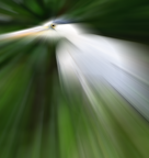 Radial blur